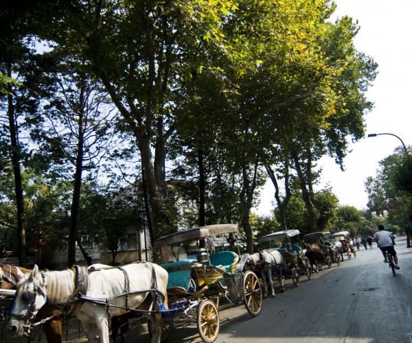 Adalar: Büyükada, Heybeliada, Burgazada, Kınalıada
