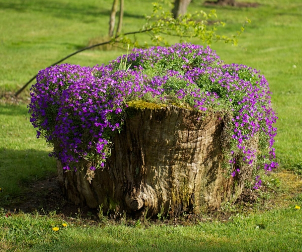 Bahçe Dekorasyonu Önerisi
