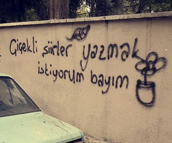 Çiçekli Şiirler Yazmak İstiyorum Bayım