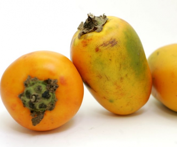 Cocona Meyvesi