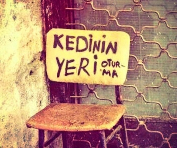 Kedinin Yeri Oturma