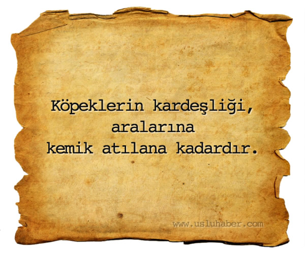 Köpeklerin kardeşliği, aralarına kemik atılana kadardır