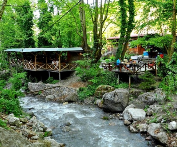 Maşukiye