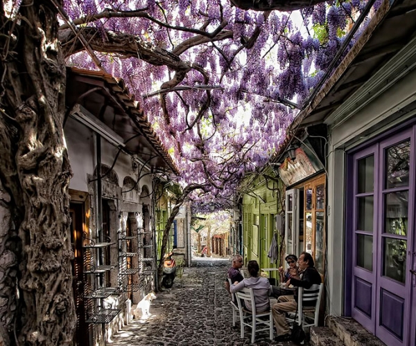 Midilli Adası Yunanistan