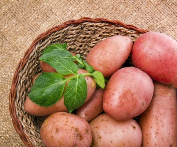 Patates Kilo Aldırır Mı?