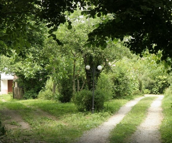 Polonezköy