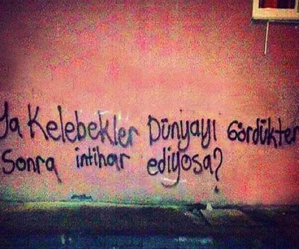 Ya Kelebekler Dünyayı Gördükten Sonra İntihar Ediyorsa