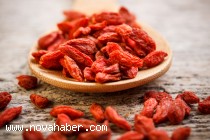 Goji Berry Nedir?